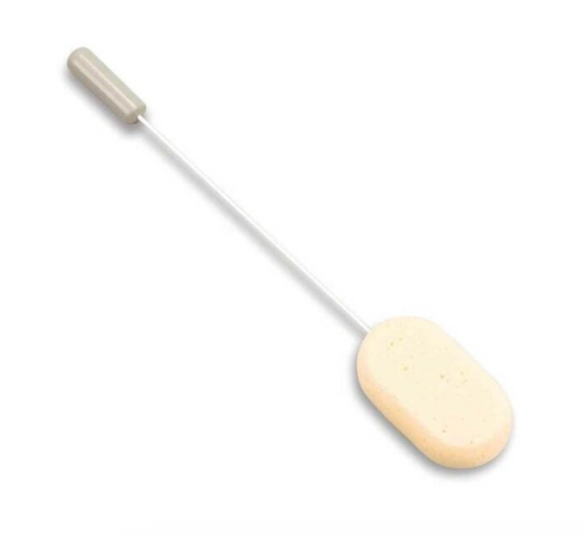 Long Handled Songe